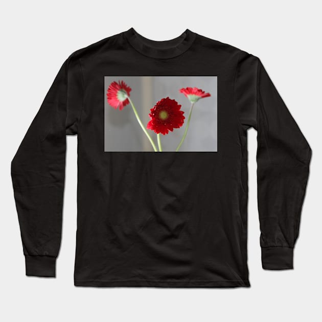 red gerber daisies Long Sleeve T-Shirt by jomaot